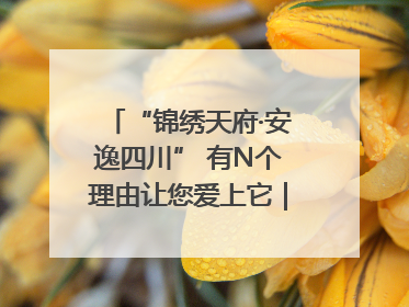 “锦绣天府·安逸四川” 有N个理由让您爱上它｜新闻发布最前线